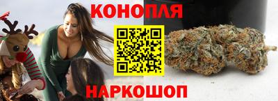 Альфа ПВП Беслан