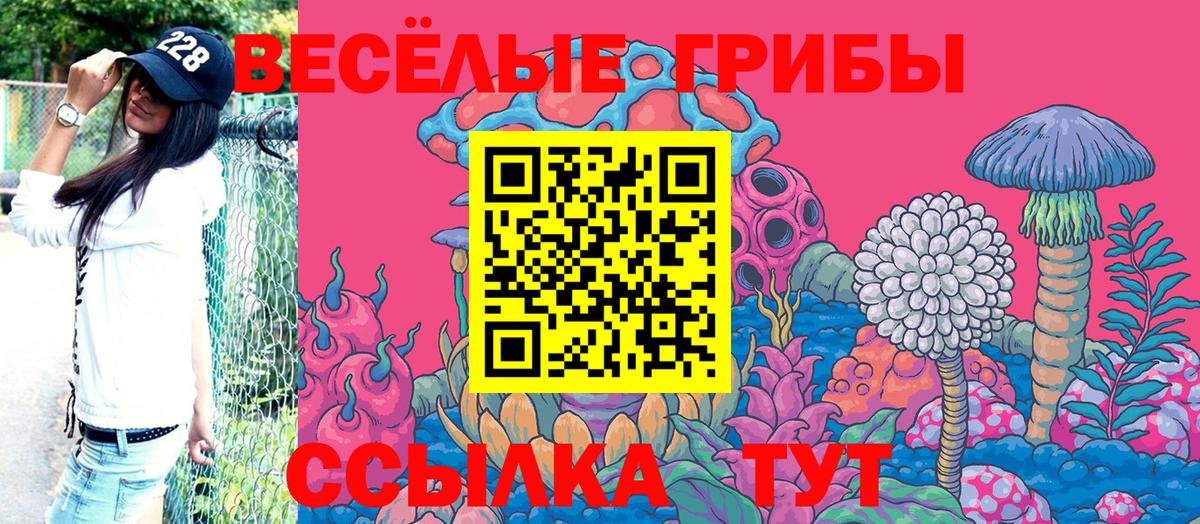 Гусиноозёрск  Галлюциногенные грибы мухоморы  Вход с VPN  Галлюциногенные грибы Cubensis 
